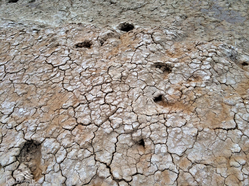 http://www.irandeserts.com/file/imageSection/F1/6ad76cf4-b37a-4a7f-808d-5aac7cd35362.jpg