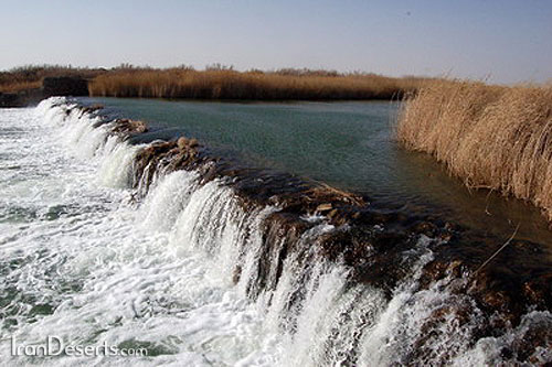 مژده به خوزستانی ها بازگشت زندگی به هورالعظیم