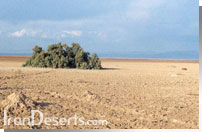 کویر دق سرخ