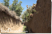 کوچه باغی در جندق