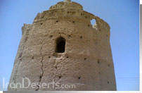 کبوتر خانه