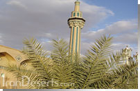 امامزاده رضا - طبس