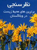 همایش وبلاگ نویسان سبز و انتخاب برترینهای محیط زیست