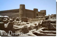 ارگ راین