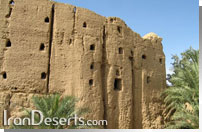 ارگ بیاضه