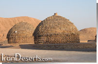 کمپ کویری لوت