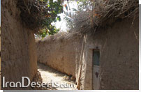 کوچه باغی در جندق