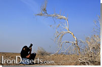 کویر مرنجاب
