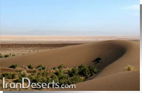 کویرمرنجاب
