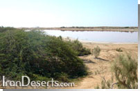 تالاب لیپار