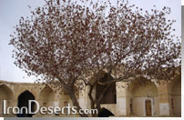 کاروانسرای قصر بهرام