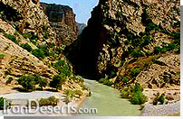 منطقه حفاظت شده دنا