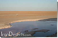 تالاب گاوخونی