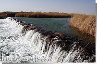 بند شاخ کنار - باتلاق گاوخونی