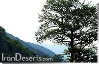 پارک ملی گلستان