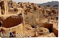 روستای خرانق