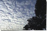 Cirrocumulus (سیرو کومولوس)