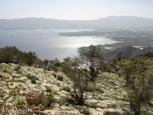 تصوير