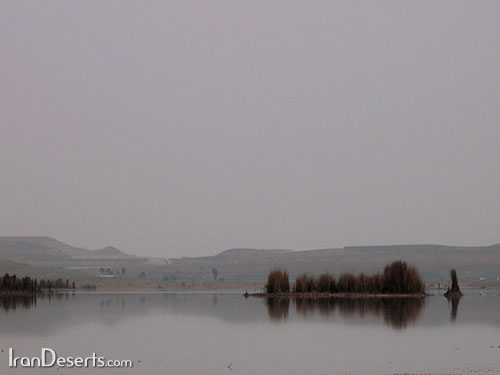 تصوير