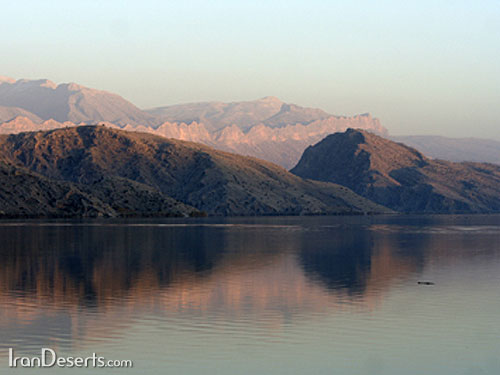 تصوير
