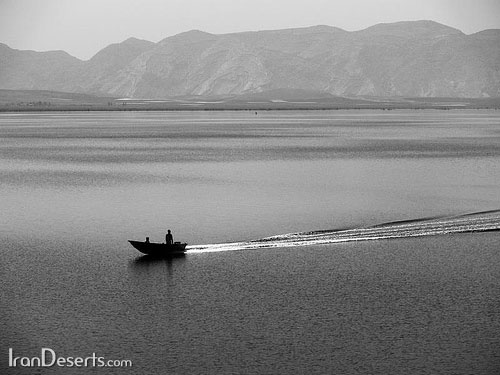 تصوير