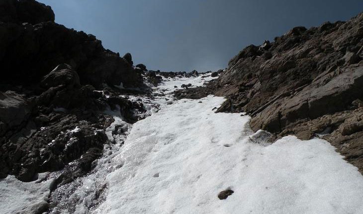 یخچال دوبی سل