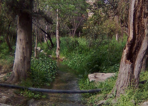 باغ چشمه بلقیس، چرام