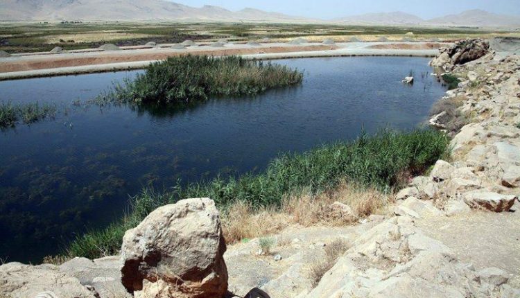 منطقه شکار ممنوع تالاب هشیلان، عکس از بهمن زارعی