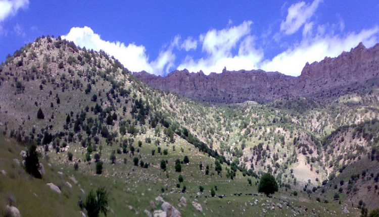 منطقه شکار ممنوع شمس آباد، عکس از هومان خاکپور