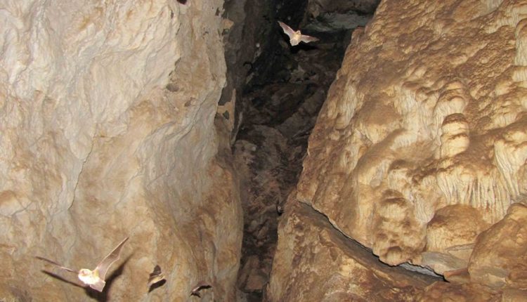 غار زنگیان، سوادکوه، تصاویر از وبلاگ غار زنگیان
