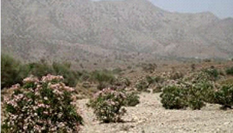 منطقه حفاظت شده کوه شیر