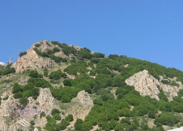 منطقه شکار ممنوع سیاه بیشه، چالوس