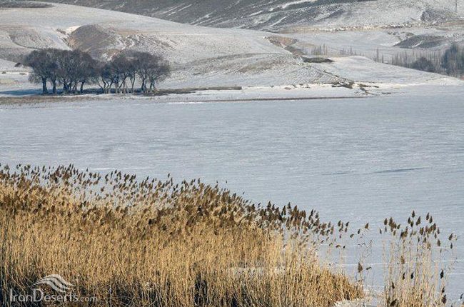 منطقه شکار ممنوع تالاب قوری گل،بستان آباد