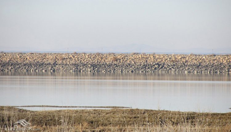 منطقه شکار ممنوع تالاب آبشینه، همدان