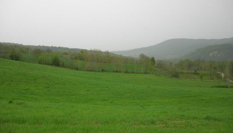 منطقه شکار ممنوع روشن کوه، کیاسر، تصاویر از پیام رحمانی