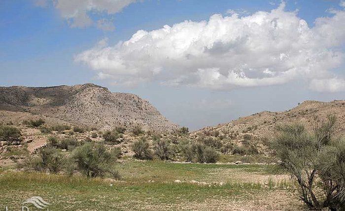 ذخیره گاه زیست کره گنو