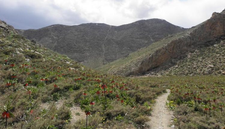 منطقه شکار ممنوع ستبله، فریدن