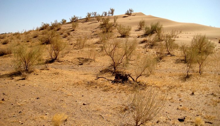 منطقه شکار ممنوع کلاته، خور و بیابانک