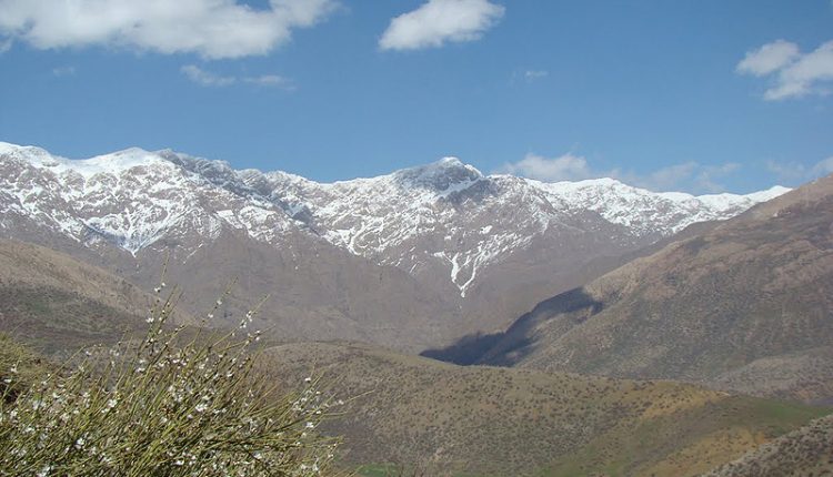 منطقه شکار ممنوع گرین