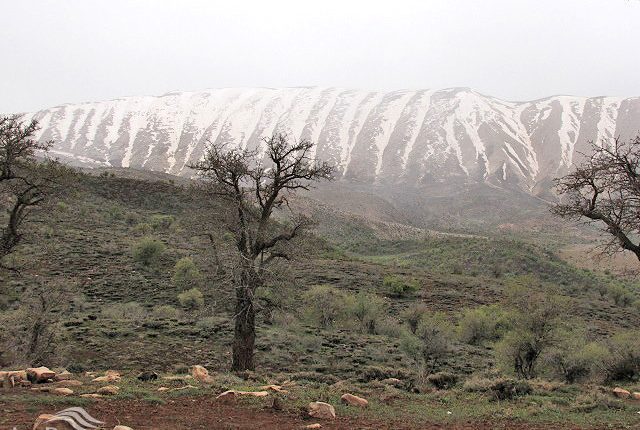 منطقه شکار ممنوع هشتاد پهلو، خرم آباد