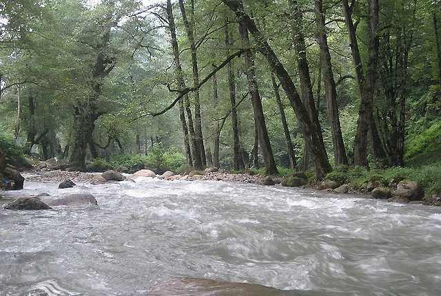 منطقه شکار ممنوع دو هزار و سه هزار