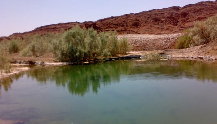 منطقه شکار ممنوع بهاباد