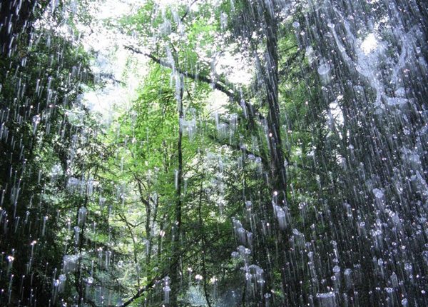 آبشار پلنگ دره، شیرگاه