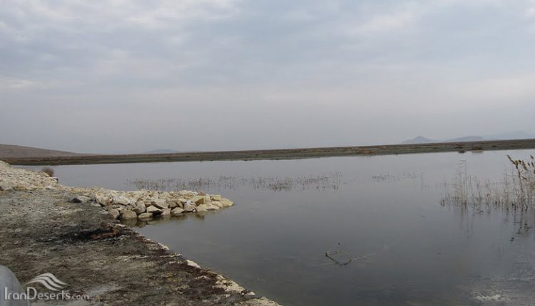 تالاب سولدوز، نقده