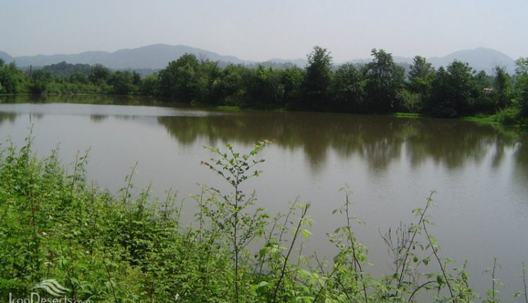 تالاب کوره بر، لاهیجان