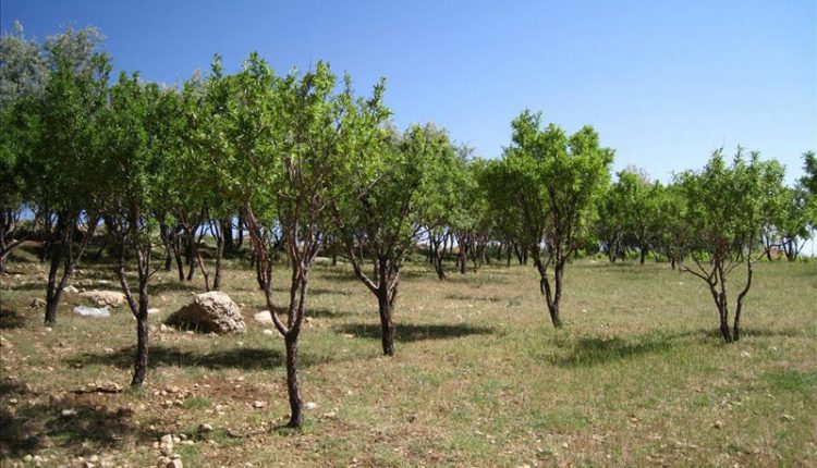 منطقه شکار ممنوع خدا آفرید، اردل