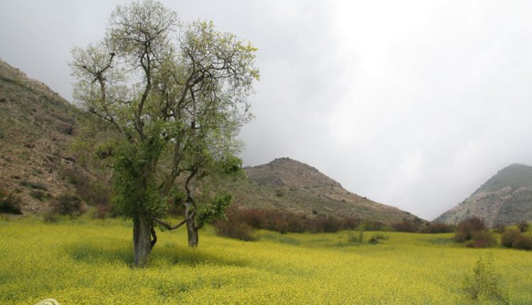 مسیر آبشارهای وزنه سر