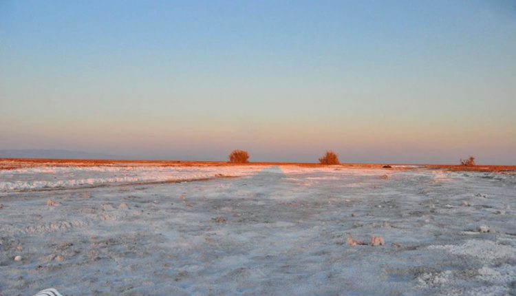 منطقه شکار ممنوع مه ولات