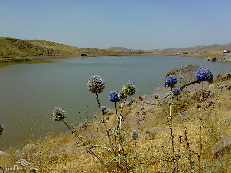 دریاچه دریابک (دلاوک)، قزوین