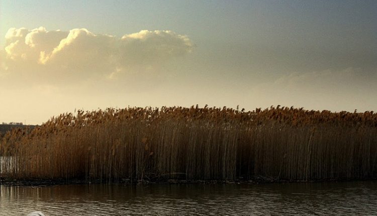 دریاچه‎ هفت برم